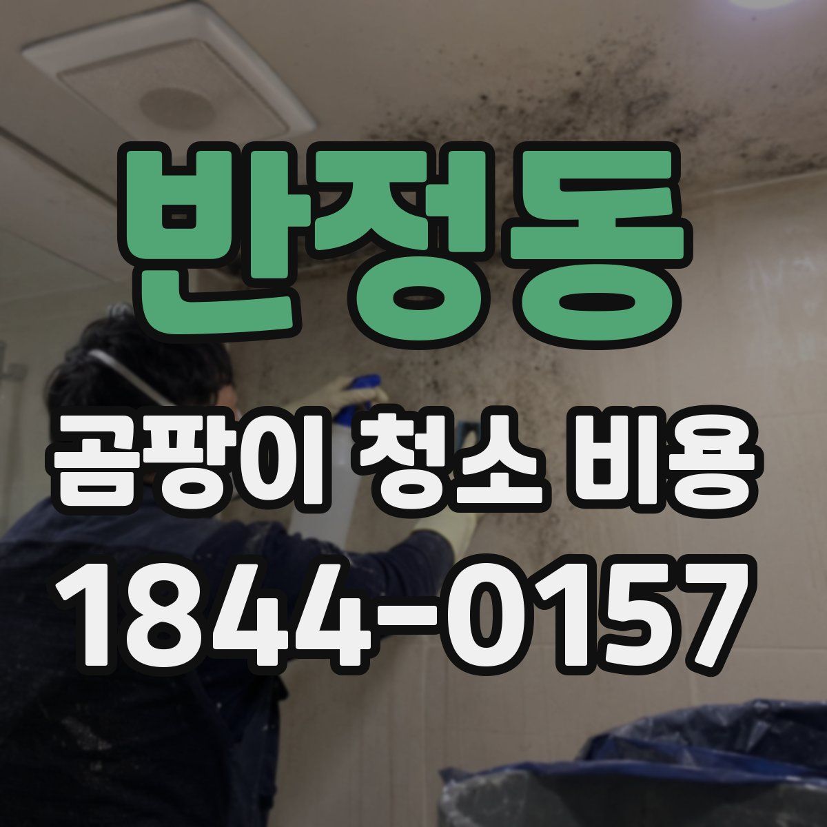 반정동 곰팡이 청소 비용