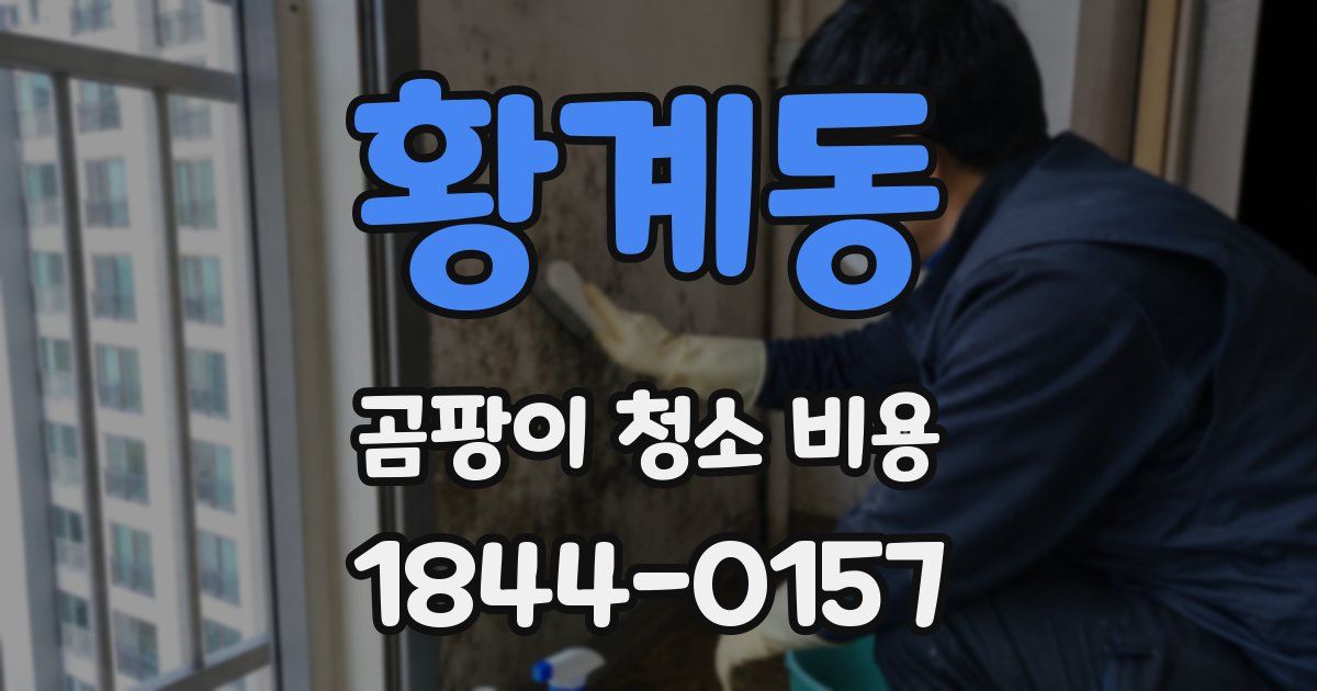 황계동 곰팡이 청소 비용