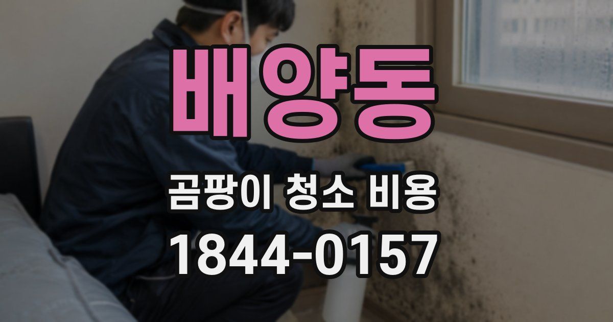 배양동 곰팡이 청소 비용