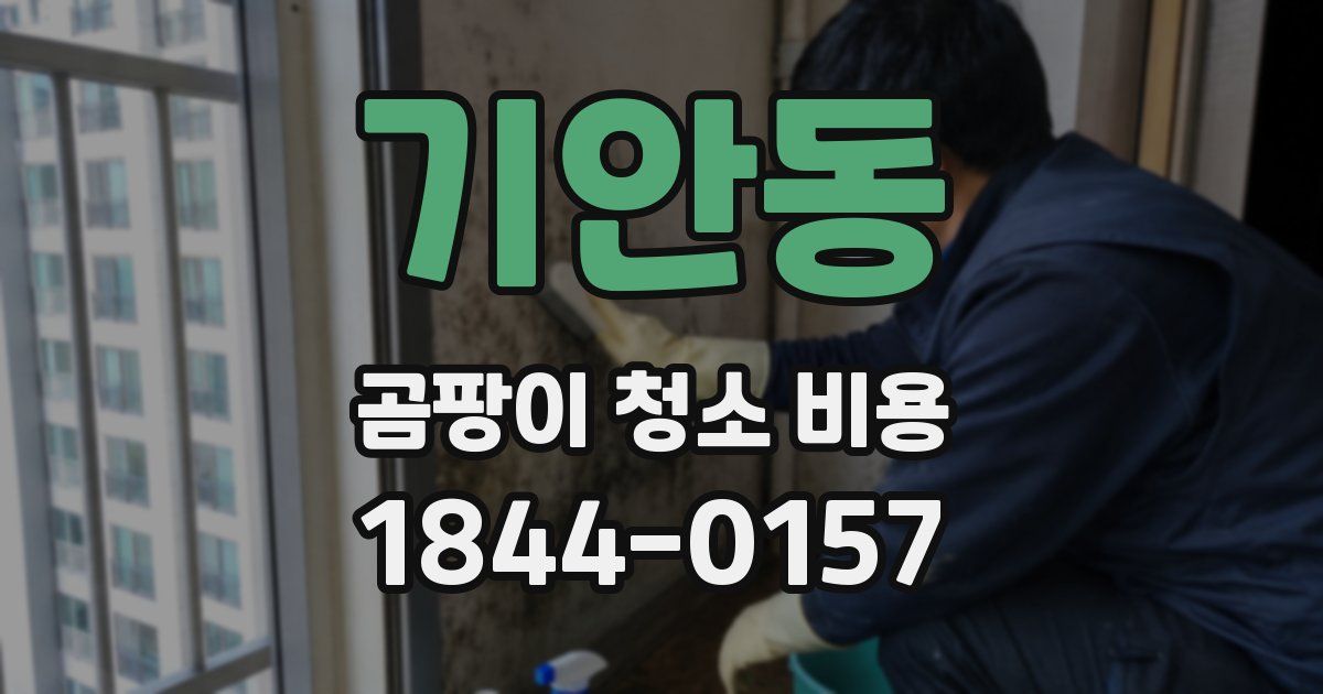 기안동 곰팡이 청소 비용