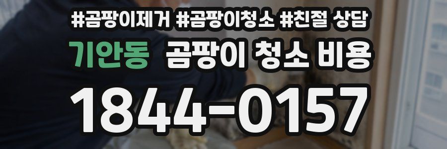 기안동 곰팡이 청소 비용