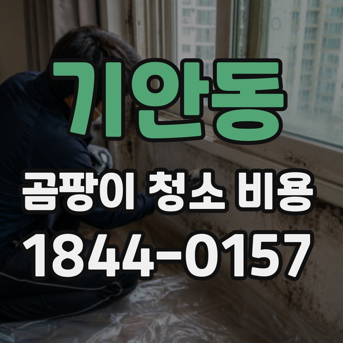 기안동 곰팡이 청소 비용