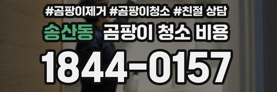 송산동 곰팡이 청소 비용