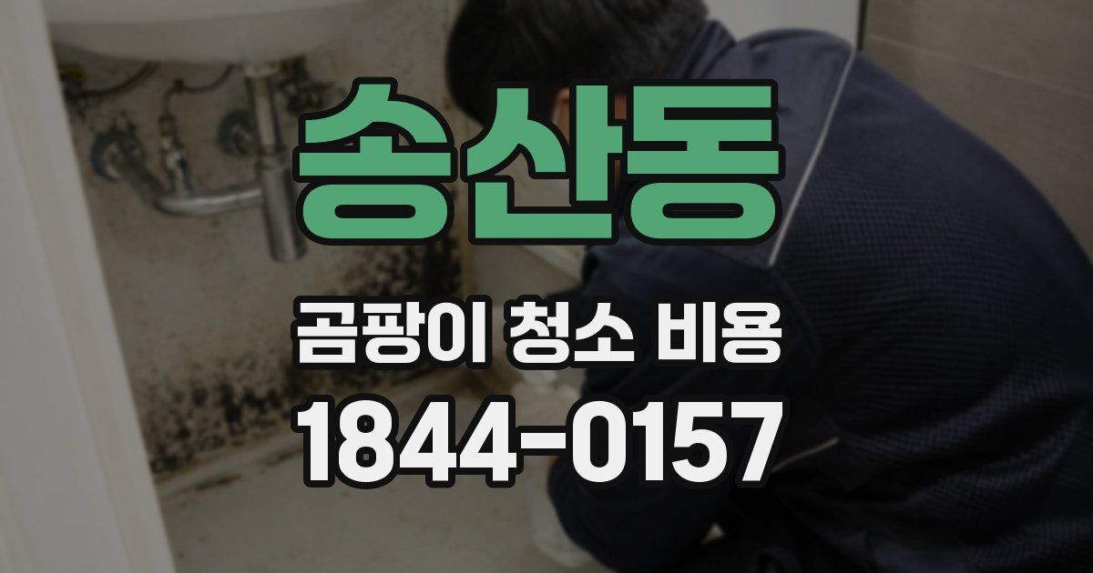 송산동 곰팡이 청소 비용