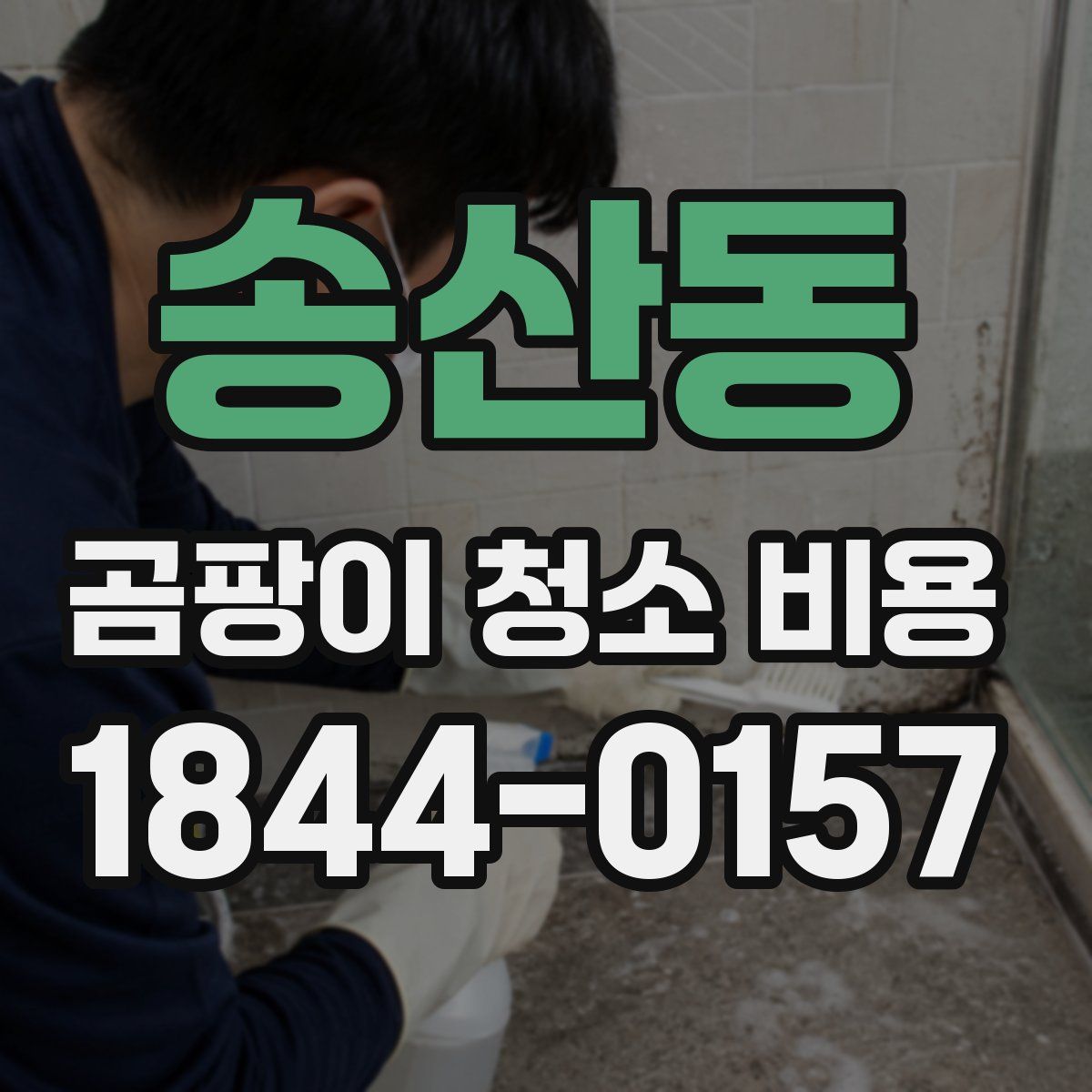 송산동 곰팡이 청소 비용