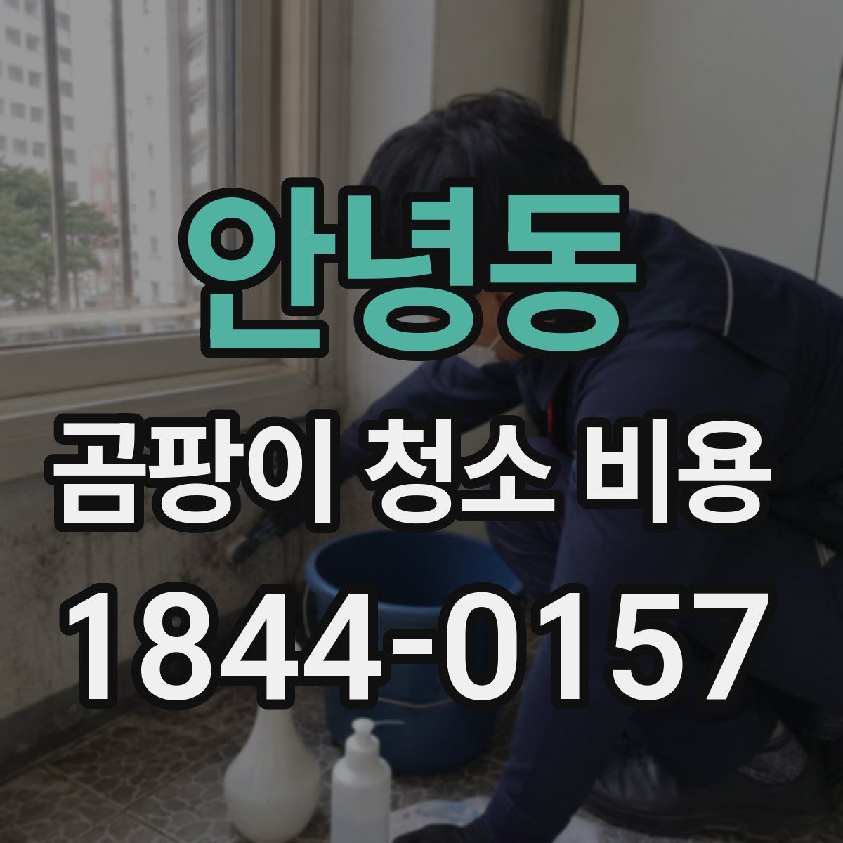 안녕동 곰팡이 청소 비용