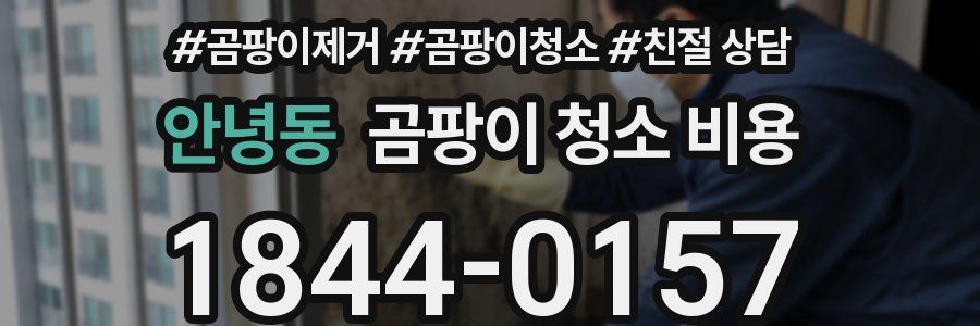 안녕동 곰팡이 청소 비용