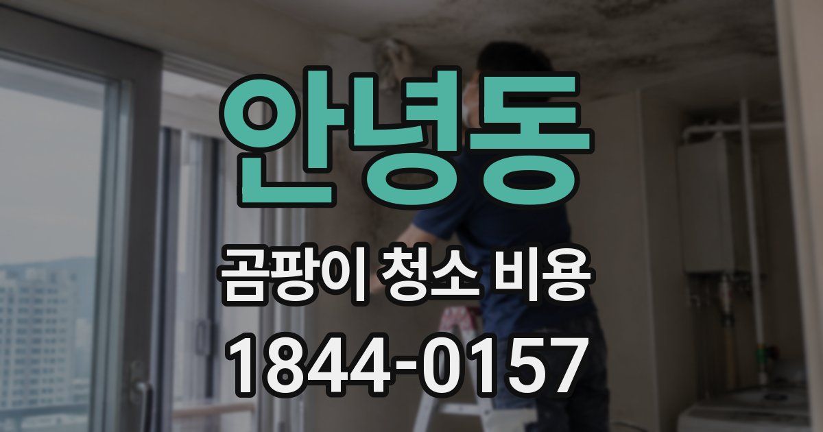 안녕동 곰팡이 청소 비용