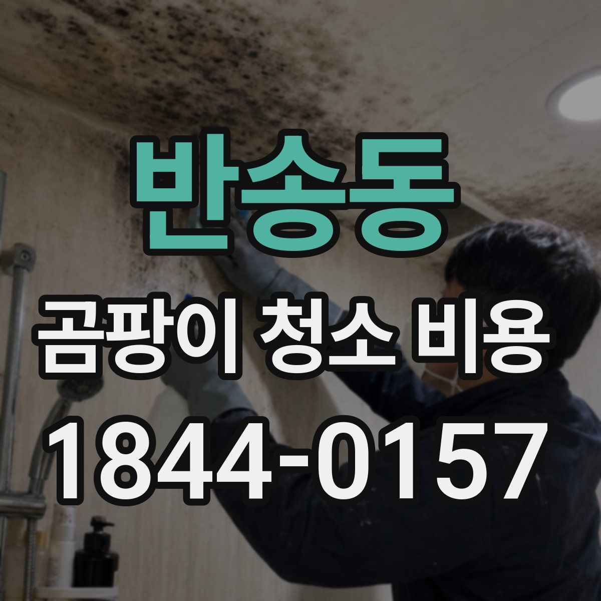 반송동 곰팡이 청소 비용
