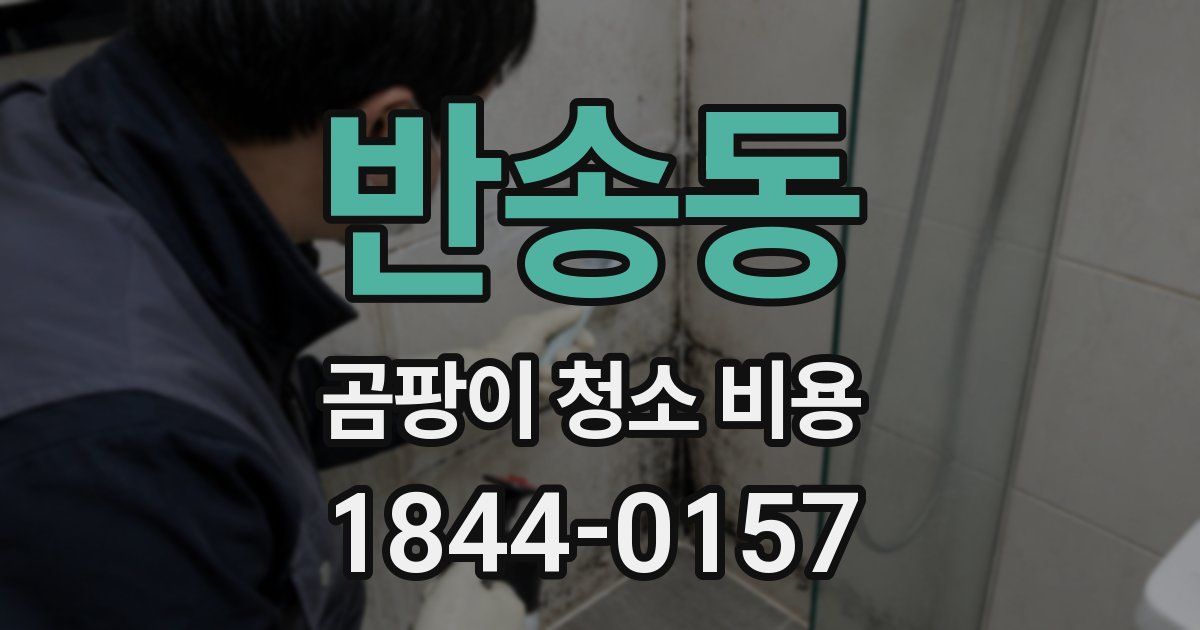 반송동 곰팡이 청소 비용