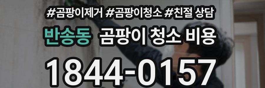 반송동 곰팡이 청소 비용