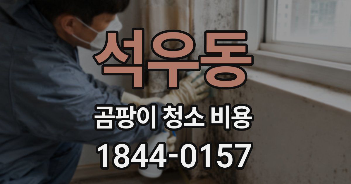 석우동 곰팡이 청소 비용