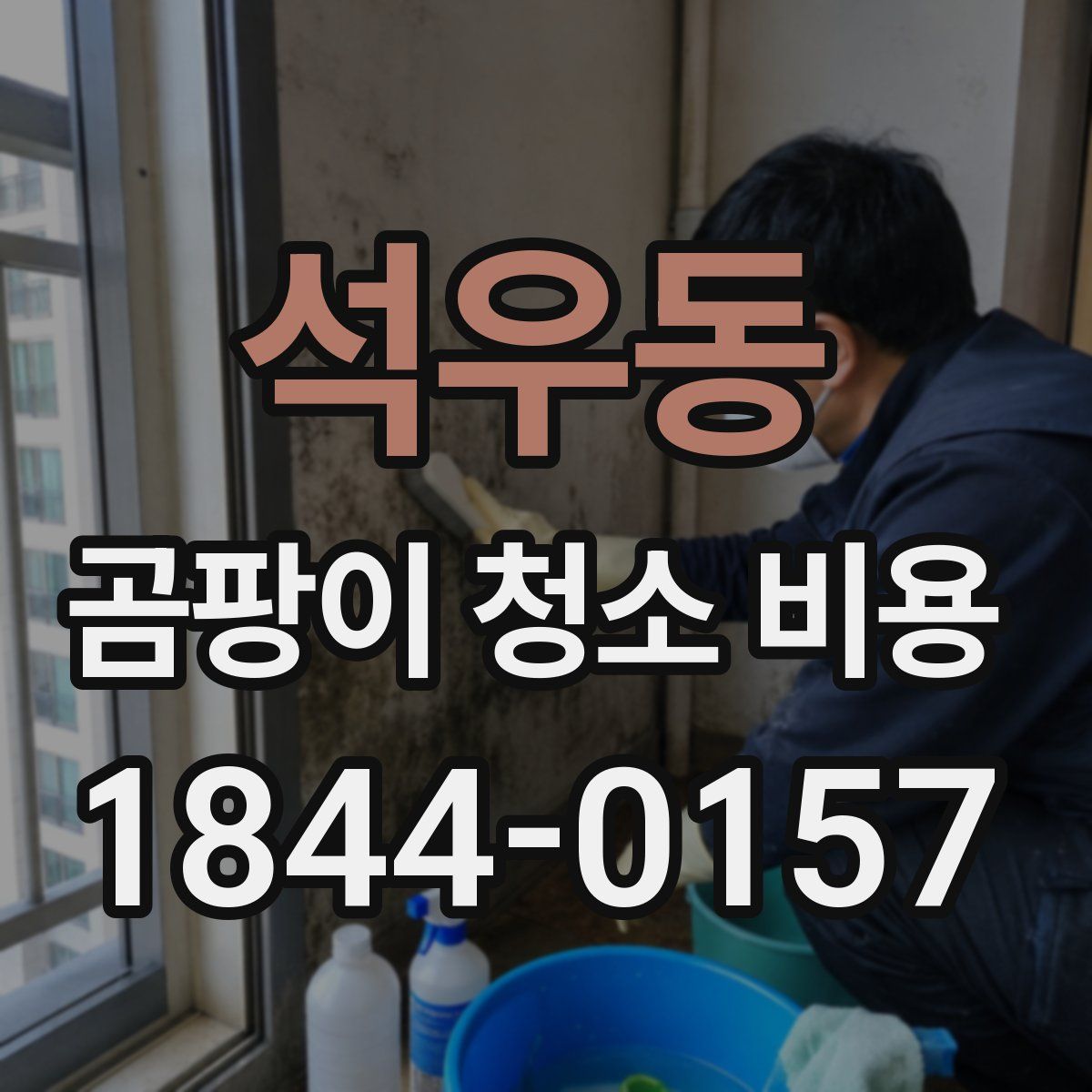 석우동 곰팡이 청소 비용