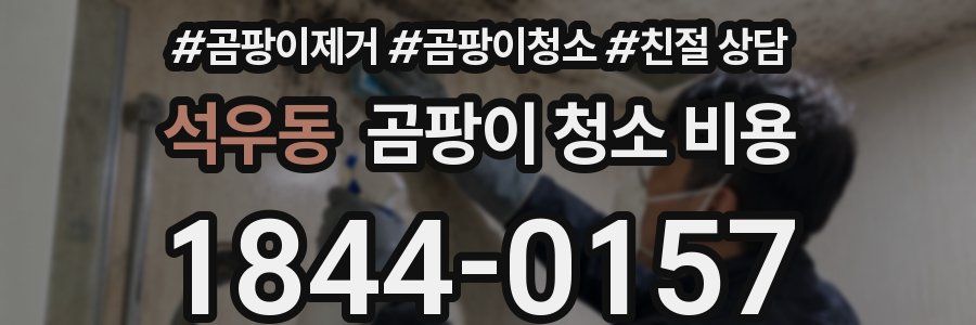 석우동 곰팡이 청소 비용