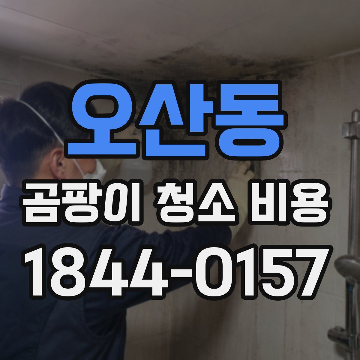 오산동 곰팡이 청소 비용