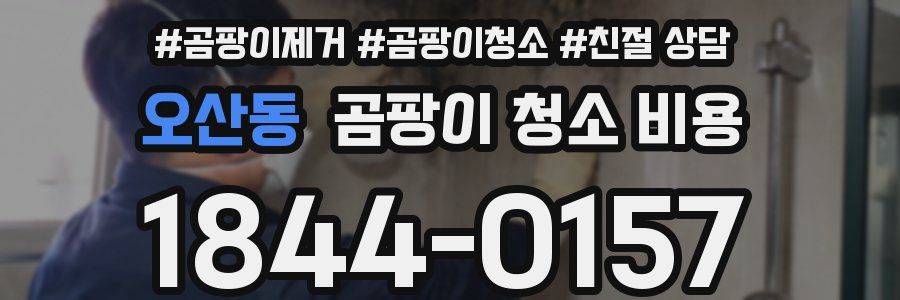 오산동 곰팡이 청소 비용