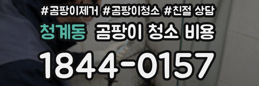 청계동 곰팡이 청소 비용