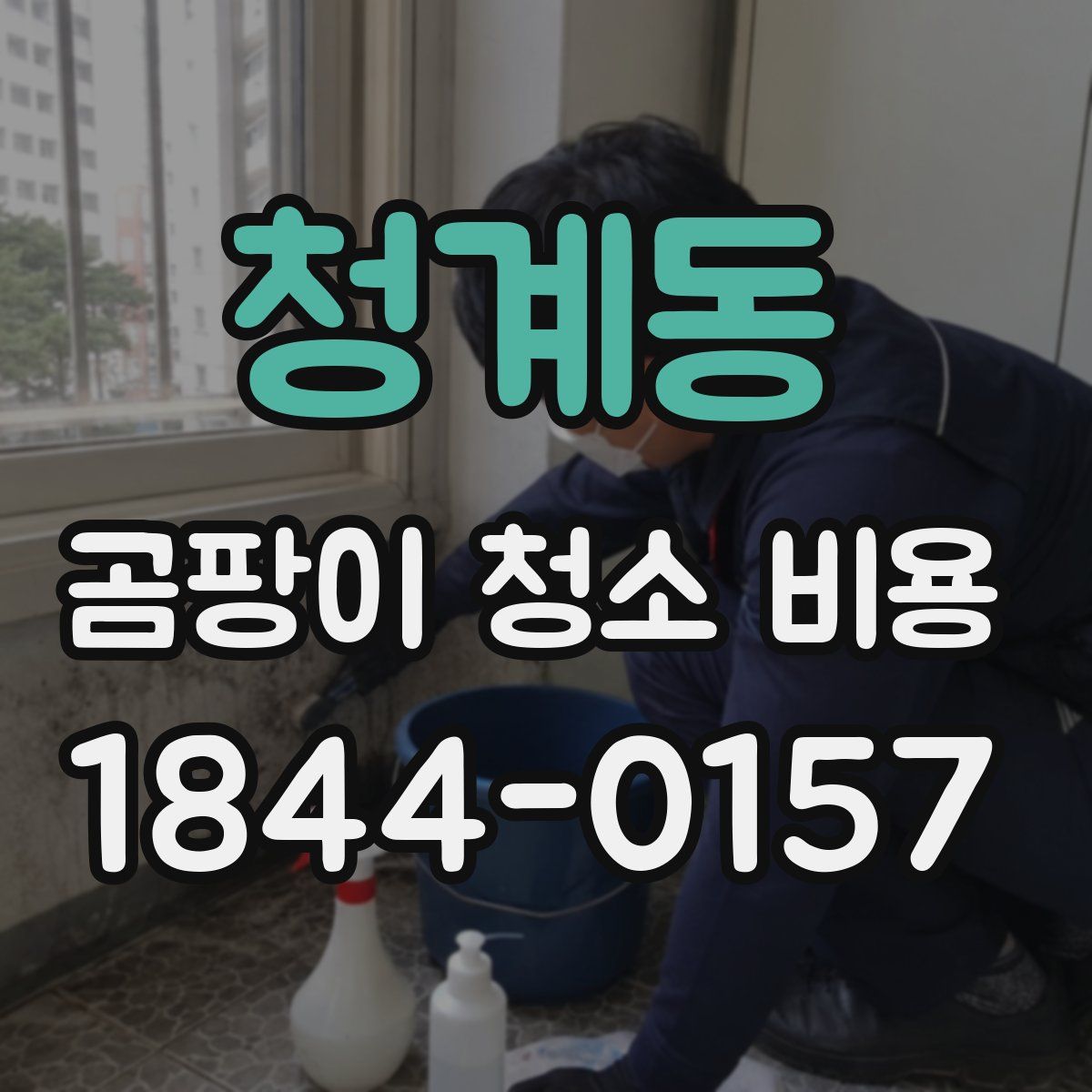 청계동 곰팡이 청소 비용