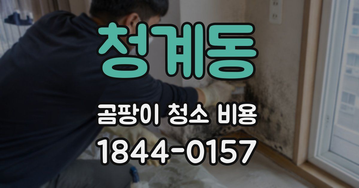 청계동 곰팡이 청소 비용