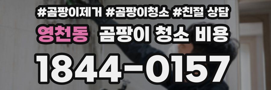 영천동 곰팡이 청소 비용