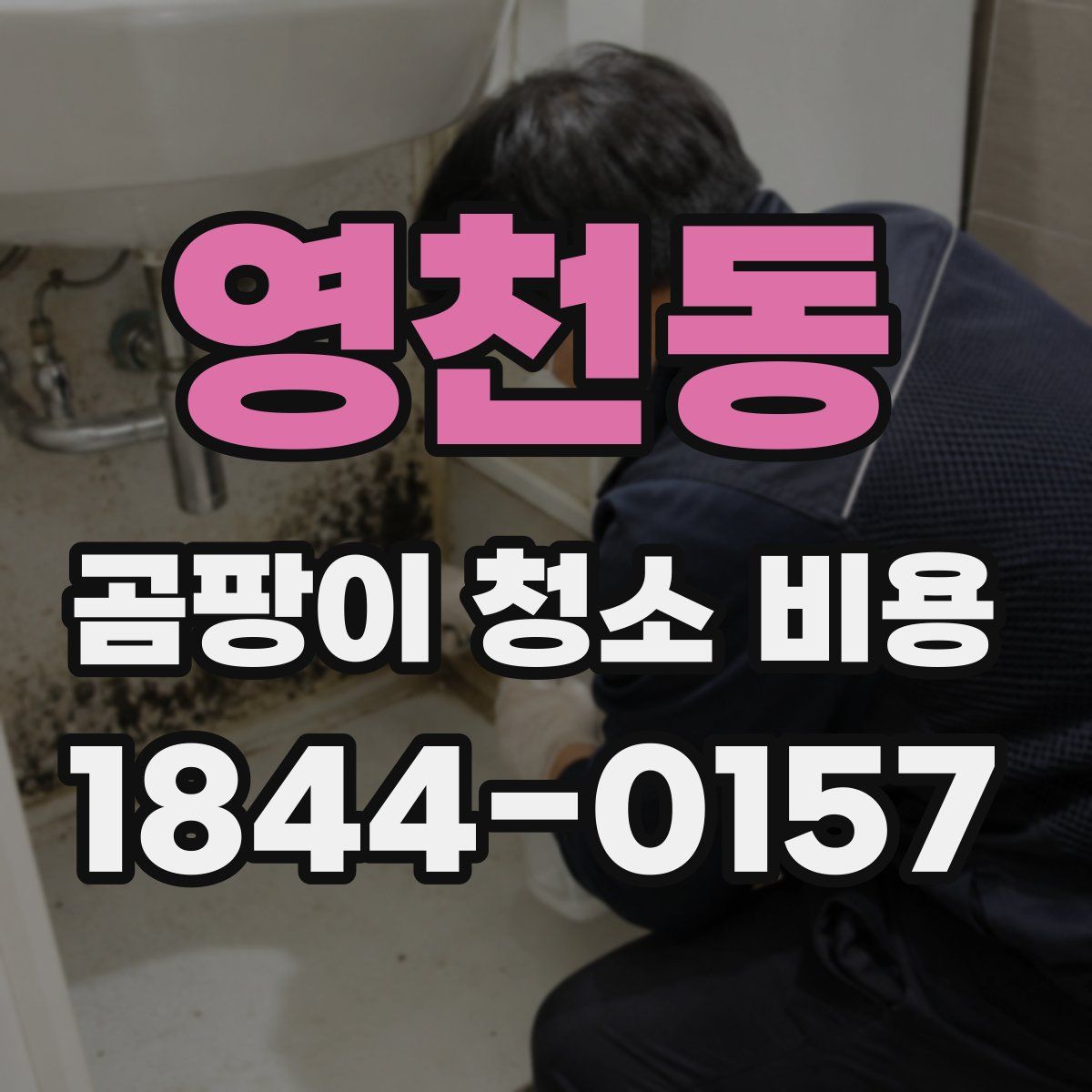 영천동 곰팡이 청소 비용