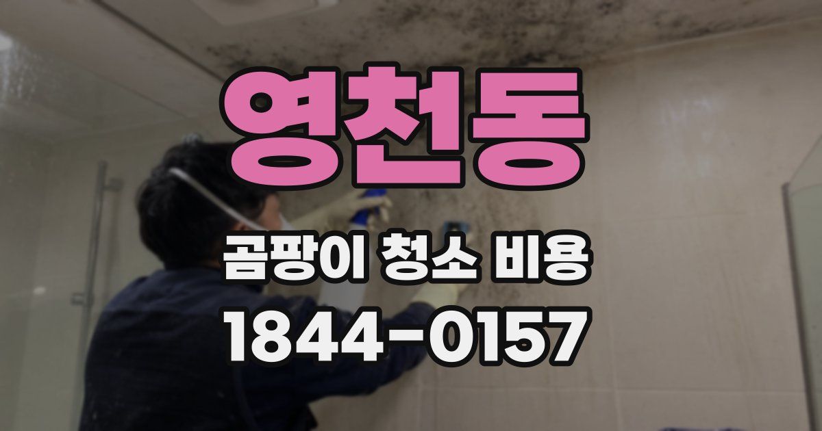 영천동 곰팡이 청소 비용