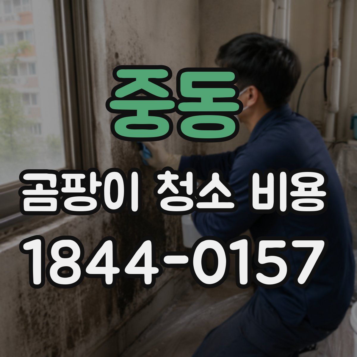중동 곰팡이 청소 비용
