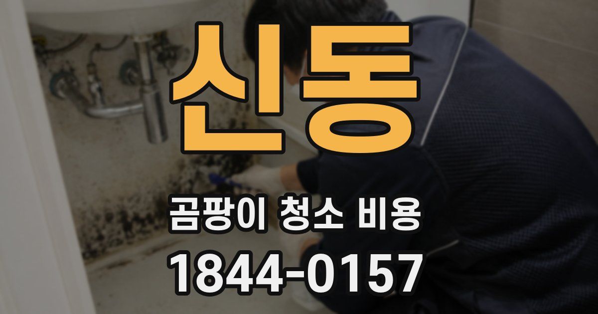 신동 곰팡이 청소 비용
