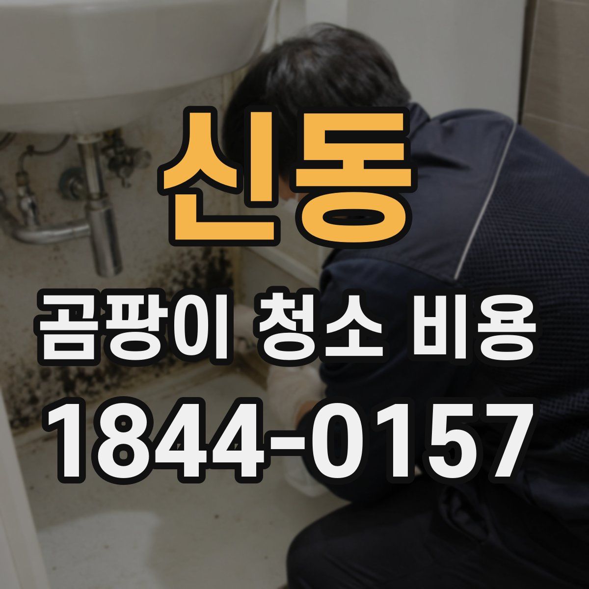 신동 곰팡이 청소 비용