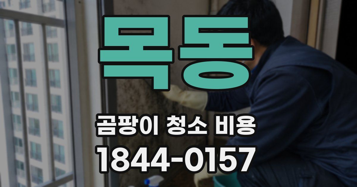 목동 곰팡이 청소 비용
