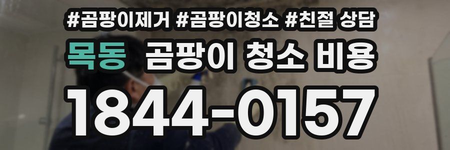 목동 곰팡이 청소 비용