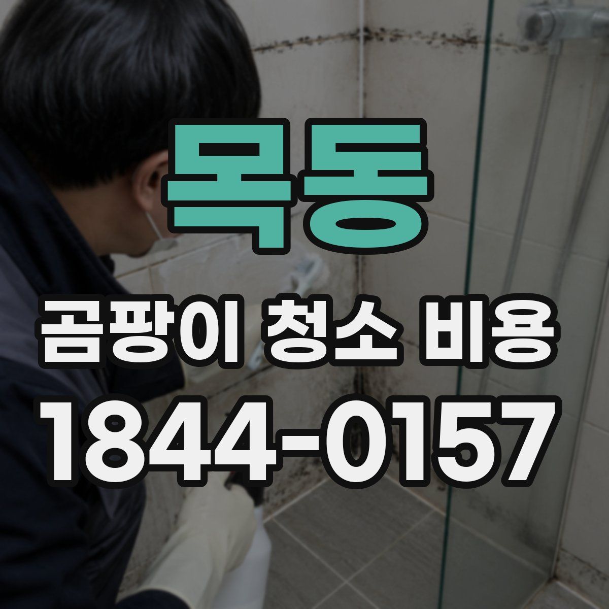 목동 곰팡이 청소 비용