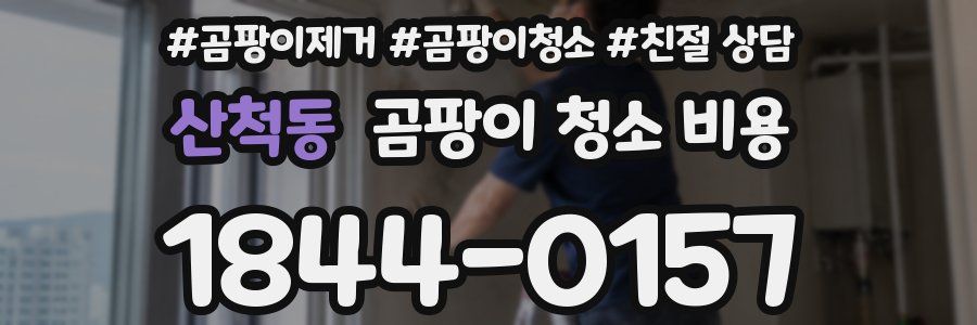 산척동 곰팡이 청소 비용