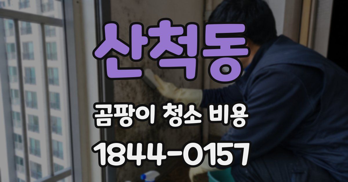 산척동 곰팡이 청소 비용