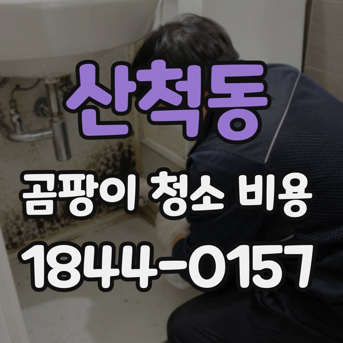 산척동 곰팡이 청소 비용