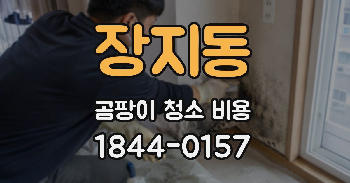 장지동 곰팡이 청소 비용