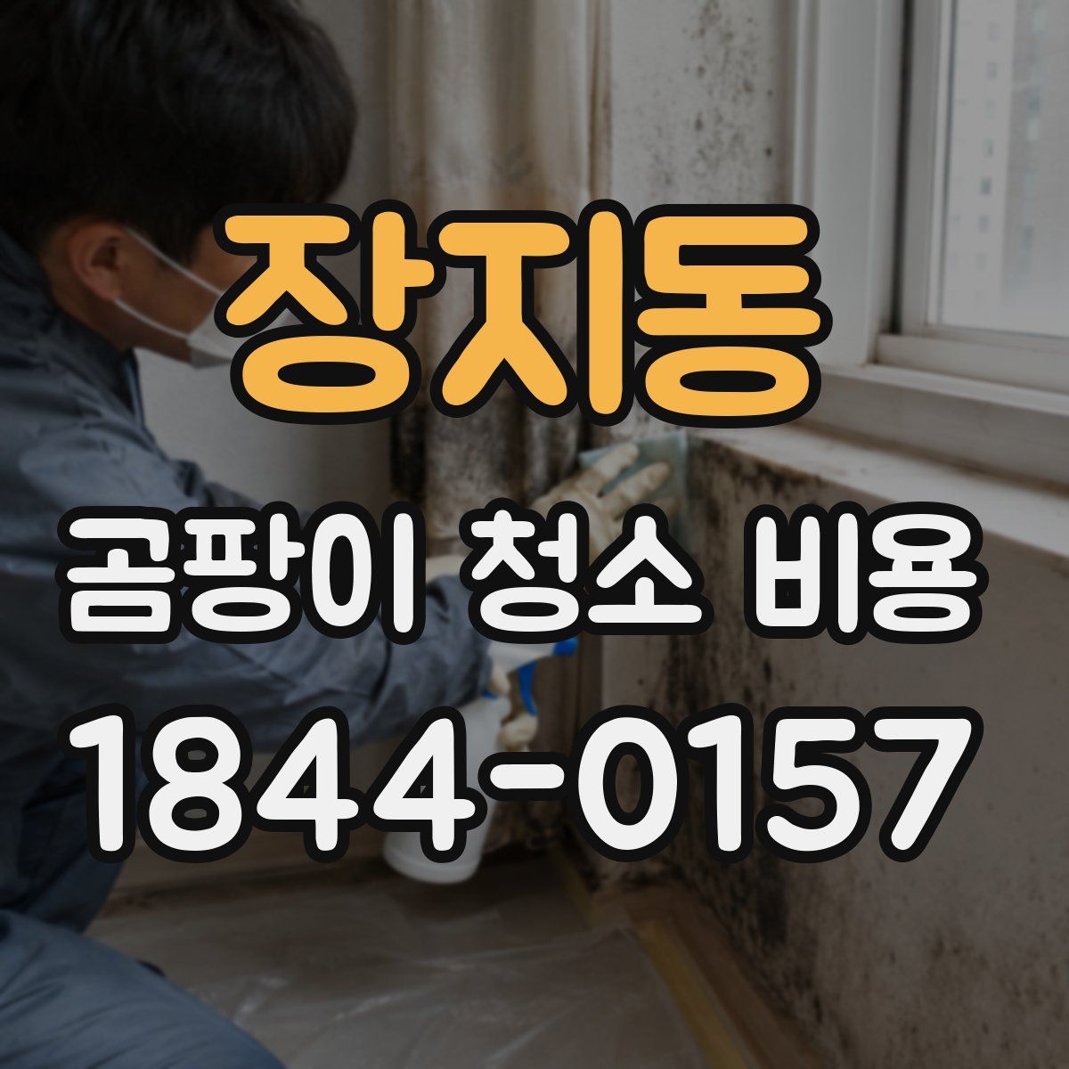 장지동 곰팡이 청소 비용