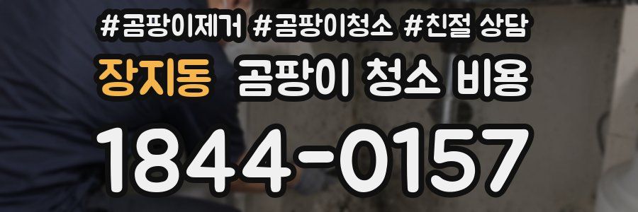 장지동 곰팡이 청소 비용