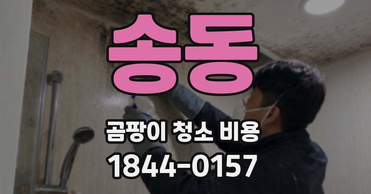 송동 곰팡이 청소 비용