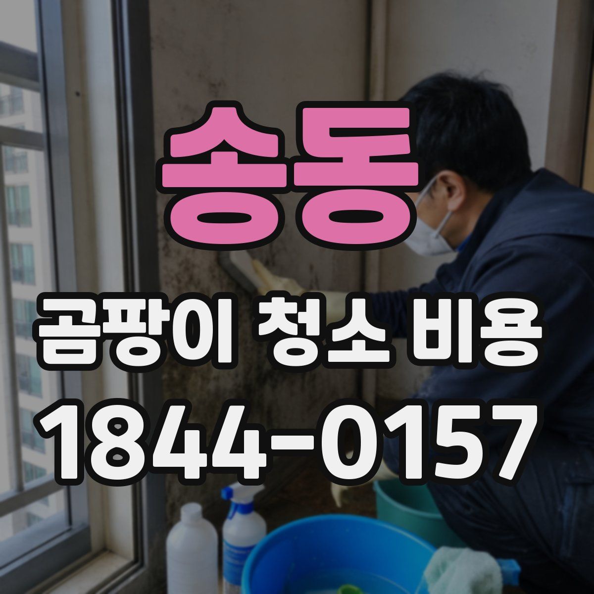 송동 곰팡이 청소 비용