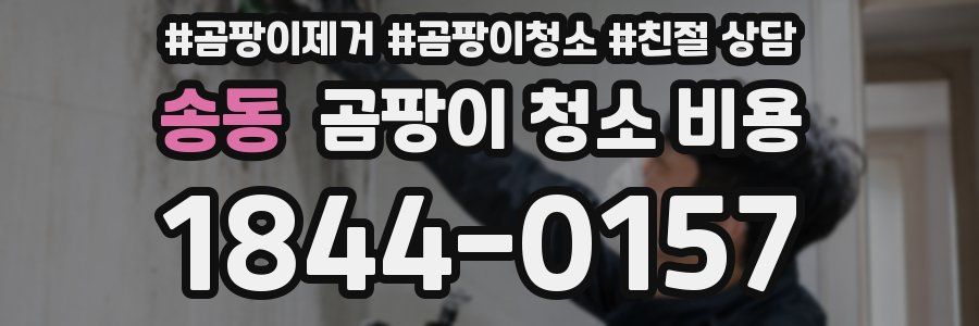 송동 곰팡이 청소 비용