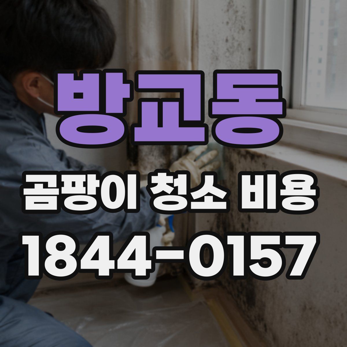 방교동 곰팡이 청소 비용