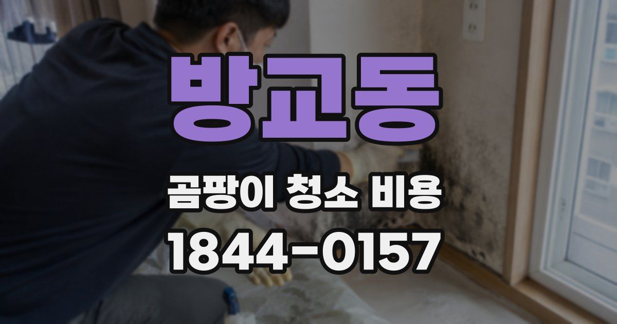 방교동 곰팡이 청소 비용