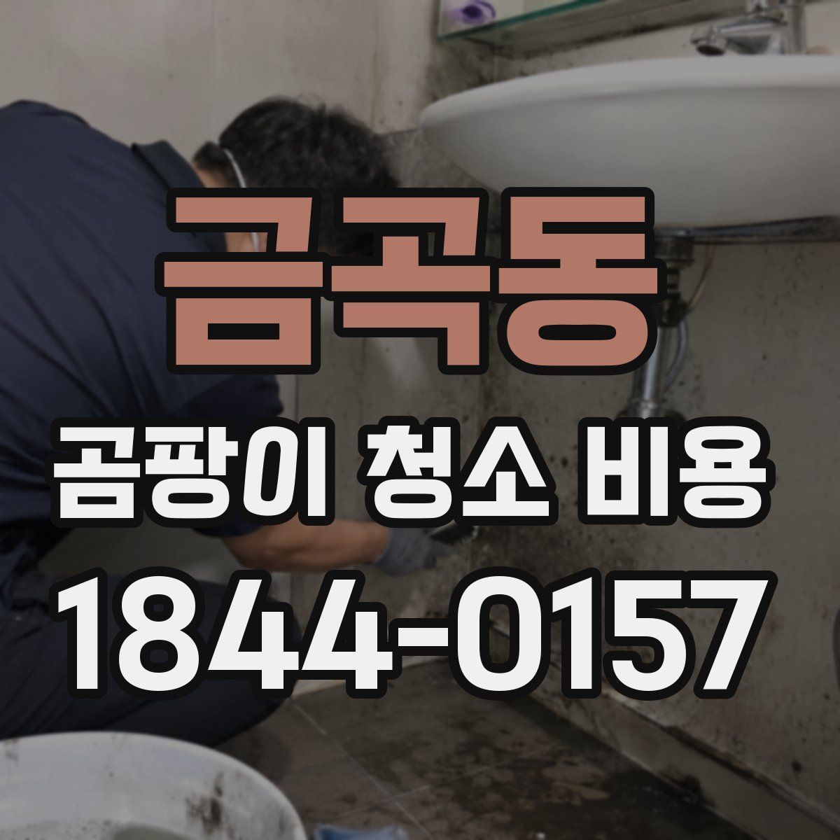 금곡동 곰팡이 청소 비용