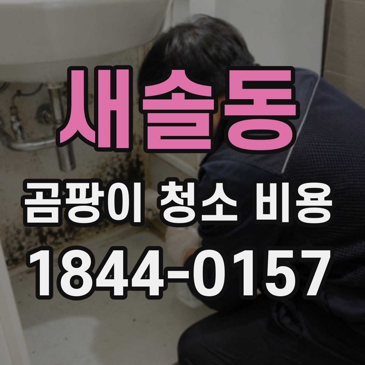 새솔동 곰팡이 청소 비용 확인할 때 자주 묻는 질문