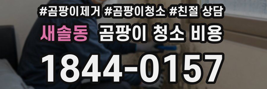 새솔동 곰팡이 청소 비용