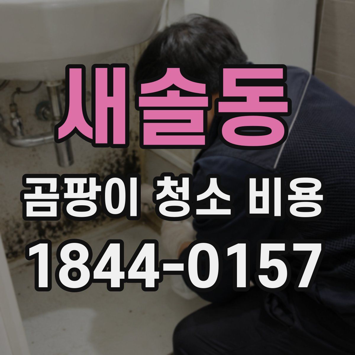 새솔동 곰팡이 청소 비용