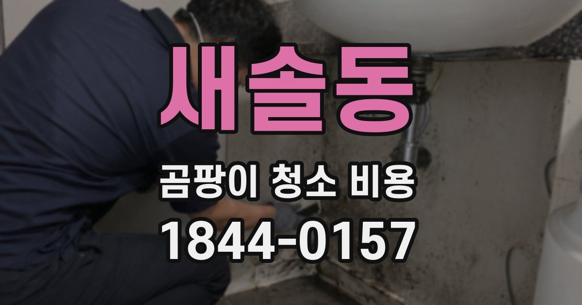 새솔동 곰팡이 청소 비용
