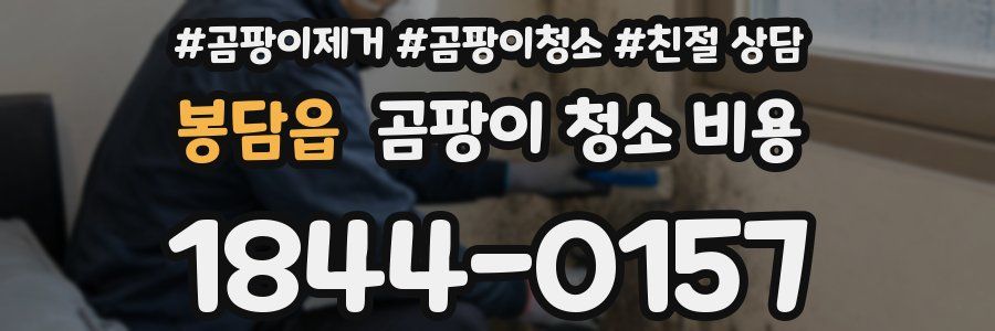 봉담읍 곰팡이 청소 비용