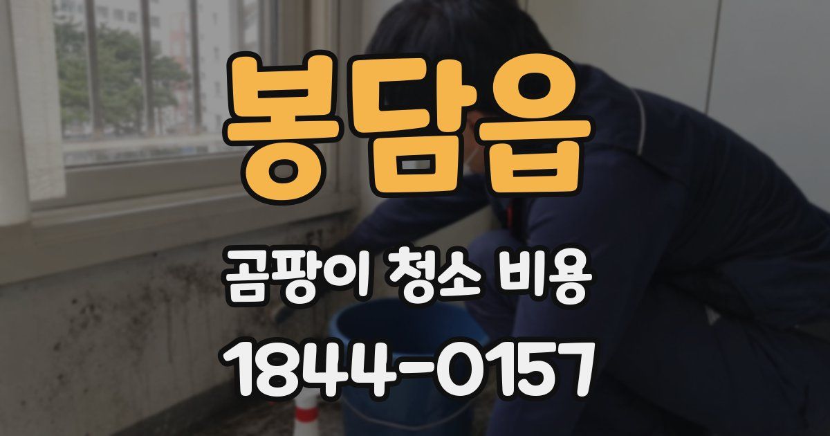 봉담읍 곰팡이 청소 비용